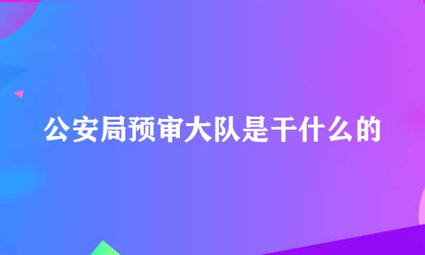 公安局预审大队是干什么的