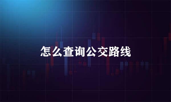 怎么查询公交路线