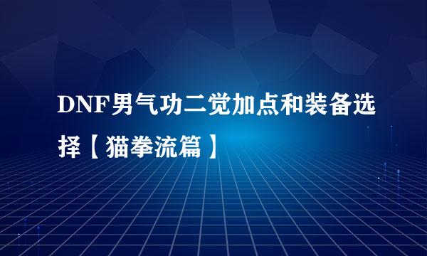 DNF男气功二觉加点和装备选择【猫拳流篇】