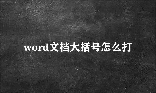 word文档大括号怎么打