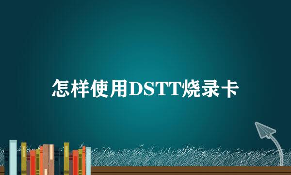 怎样使用DSTT烧录卡