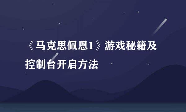 《马克思佩恩1》游戏秘籍及控制台开启方法