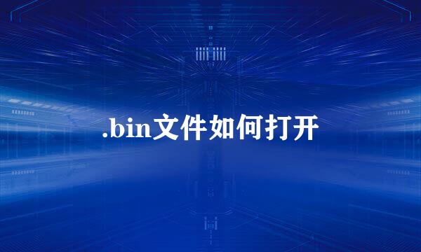 .bin文件如何打开