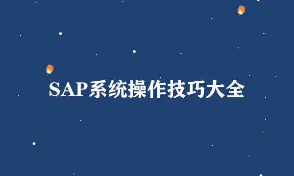 SAP系统操作技巧大全