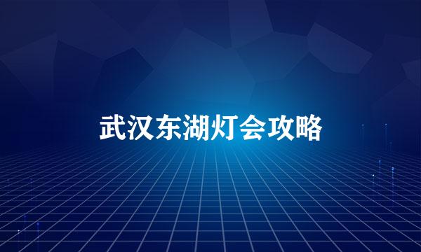 武汉东湖灯会攻略