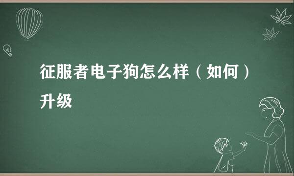 征服者电子狗怎么样（如何）升级