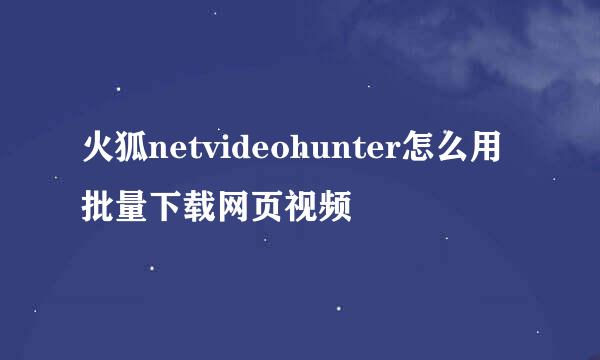 火狐netvideohunter怎么用 批量下载网页视频