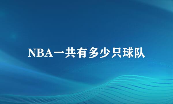 NBA一共有多少只球队