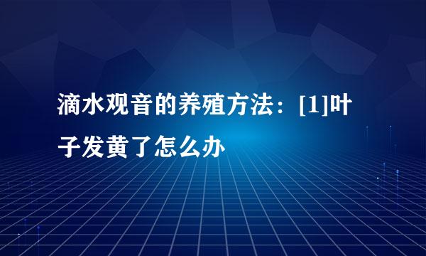 滴水观音的养殖方法：[1]叶子发黄了怎么办