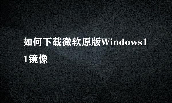 如何下载微软原版Windows11镜像