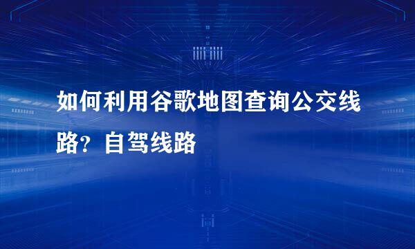 如何利用谷歌地图查询公交线路？自驾线路