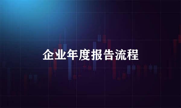 企业年度报告流程