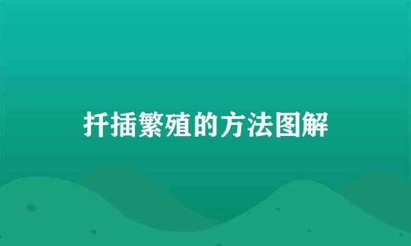 扦插繁殖的方法图解