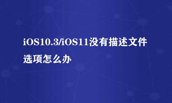 iOS10.3/iOS11没有描述文件选项怎么办