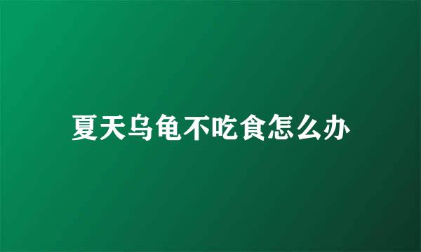 夏天乌龟不吃食怎么办