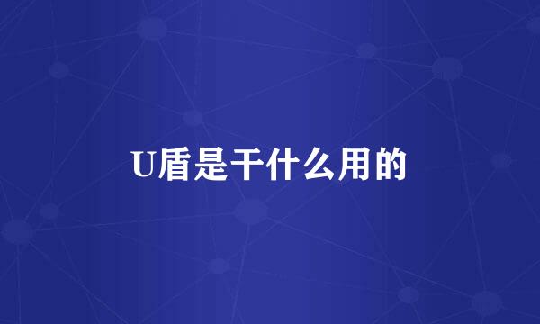 U盾是干什么用的