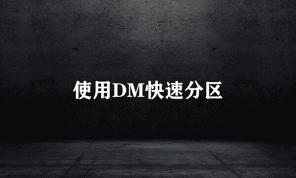 使用DM快速分区