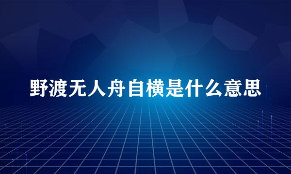 野渡无人舟自横是什么意思