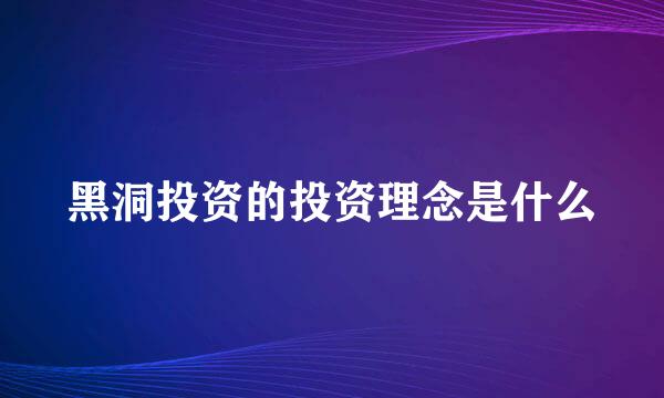 黑洞投资的投资理念是什么