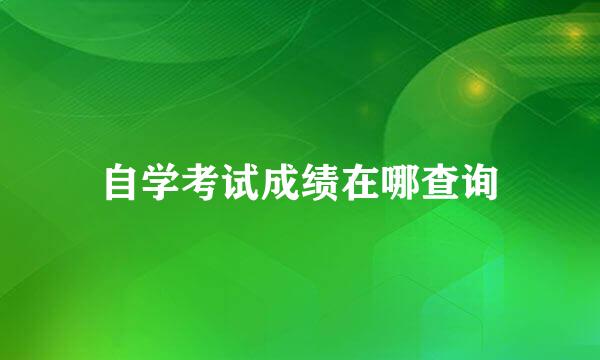 自学考试成绩在哪查询