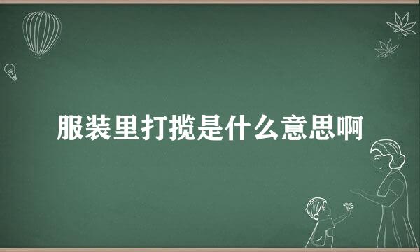 服装里打揽是什么意思啊