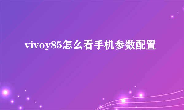 vivoy85怎么看手机参数配置