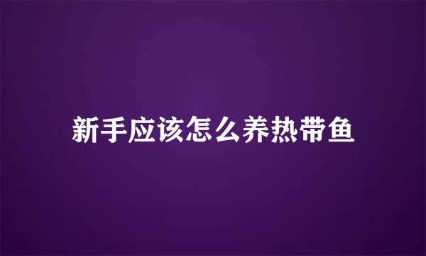 新手应该怎么养热带鱼