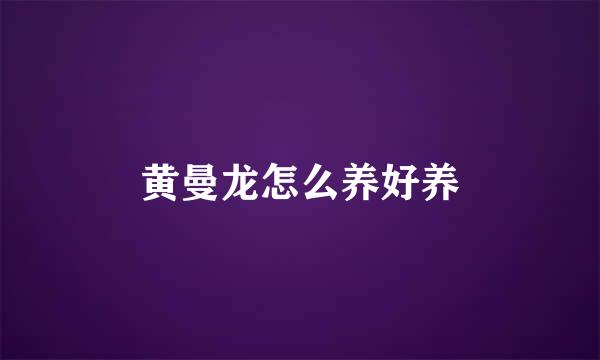 黄曼龙怎么养好养