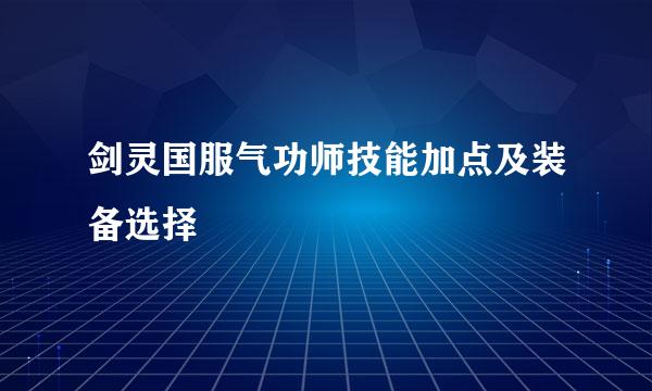 剑灵国服气功师技能加点及装备选择