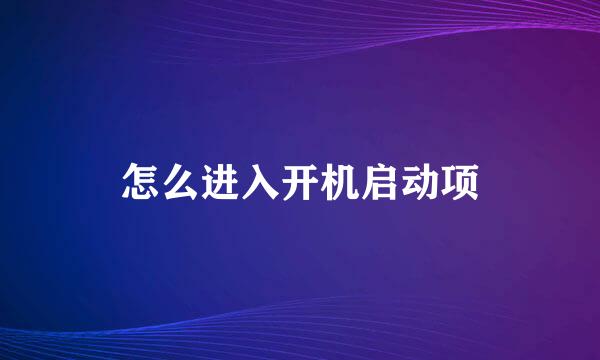 怎么进入开机启动项