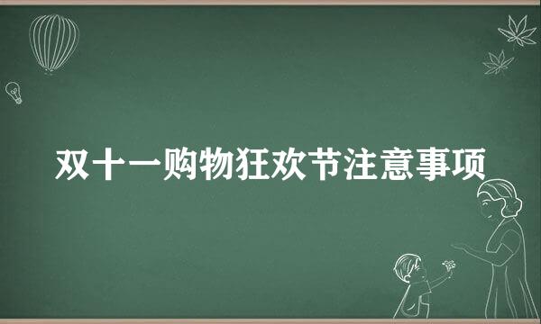 双十一购物狂欢节注意事项