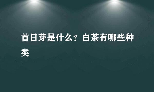 首日芽是什么？白茶有哪些种类