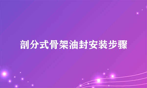 剖分式骨架油封安装步骤