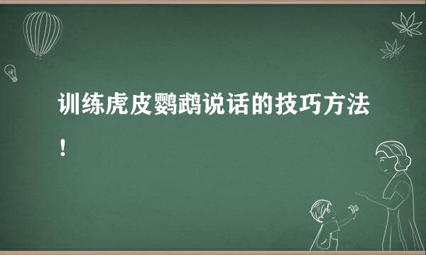 训练虎皮鹦鹉说话的技巧方法！