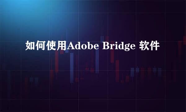 如何使用Adobe Bridge 软件