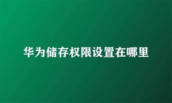 华为储存权限设置在哪里