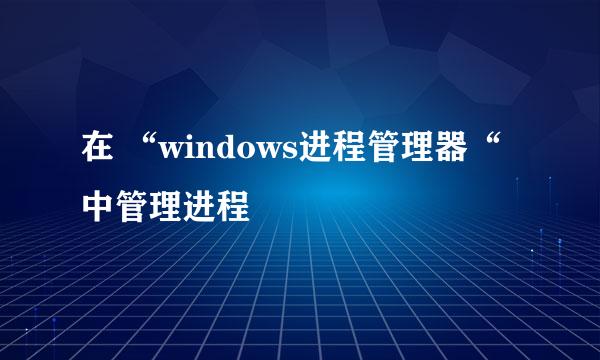 在 “windows进程管理器“中管理进程