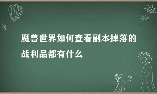 魔兽世界如何查看副本掉落的战利品都有什么