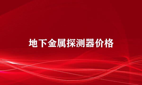 地下金属探测器价格