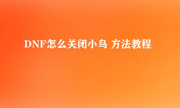 DNF怎么关闭小鸟 方法教程