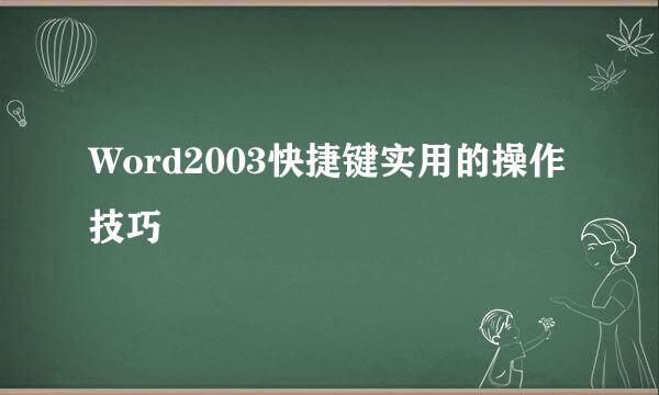 Word2003快捷键实用的操作技巧