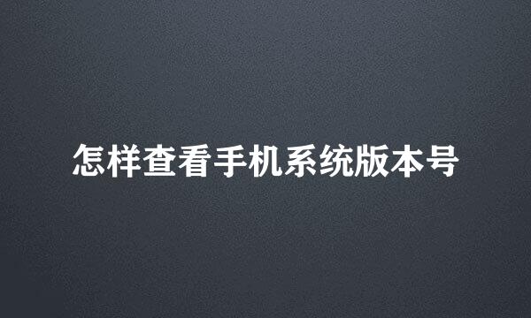 怎样查看手机系统版本号