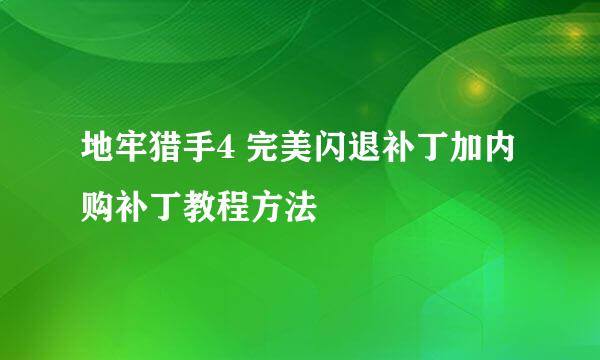 地牢猎手4 完美闪退补丁加内购补丁教程方法