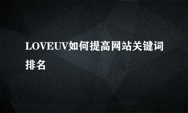 LOVEUV如何提高网站关键词排名