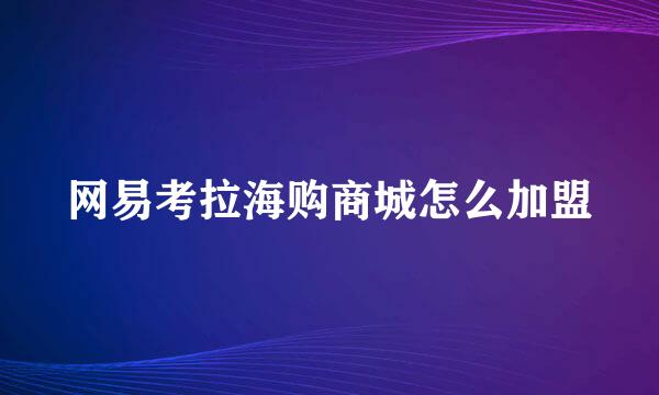 网易考拉海购商城怎么加盟