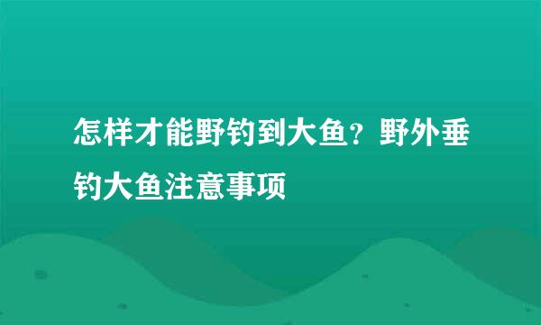 怎样才能野钓到大鱼？野外垂钓大鱼注意事项