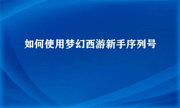 如何使用梦幻西游新手序列号