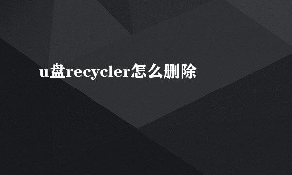 u盘recycler怎么删除