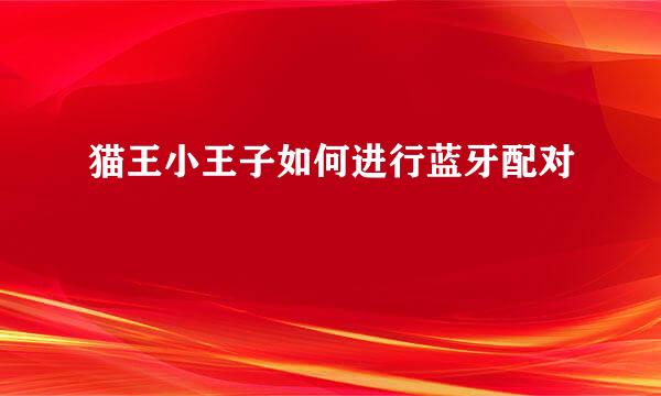 猫王小王子如何进行蓝牙配对