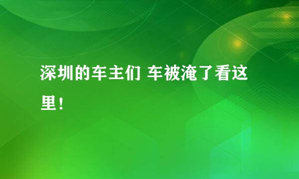 深圳的车主们 车被淹了看这里！